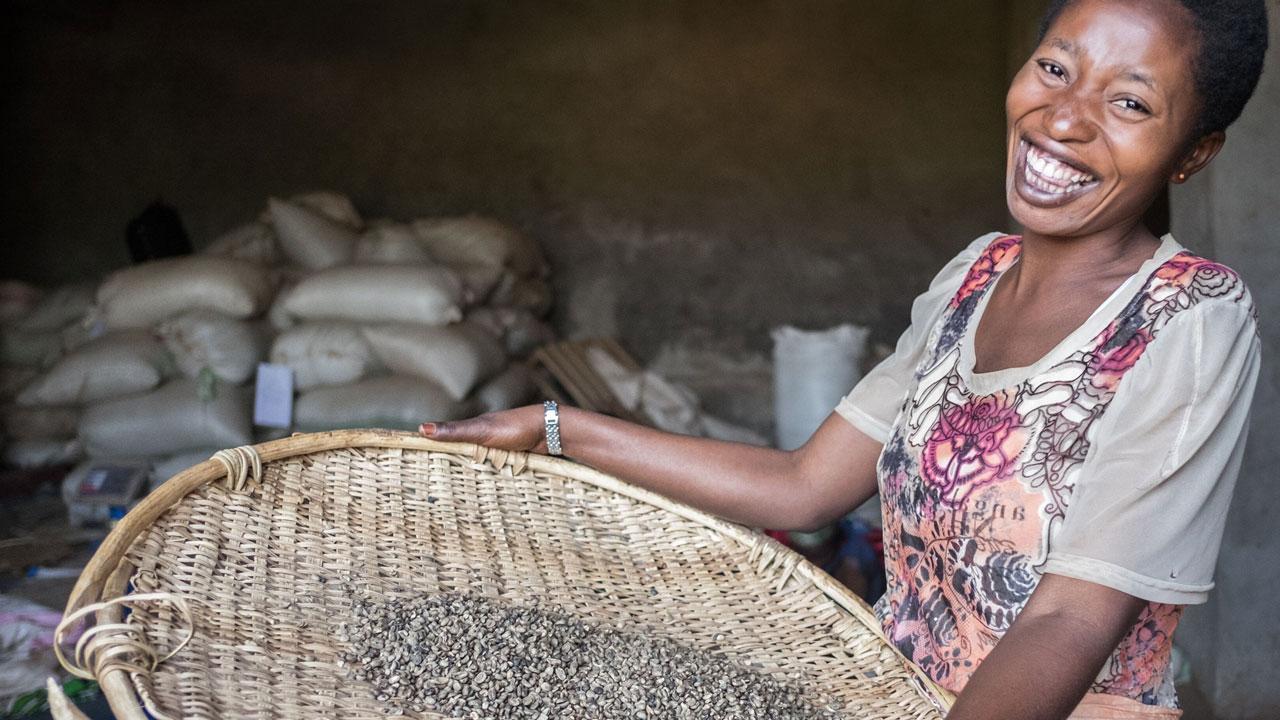 在刚果民主共和国，一名妇女拿着一篮子干咖啡豆