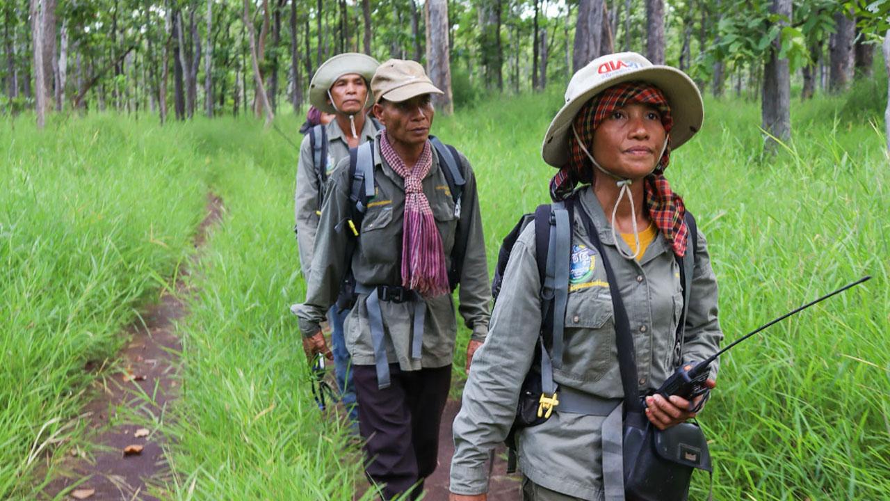 Ms. Seng Long带领她的社区成员进行森林巡逻